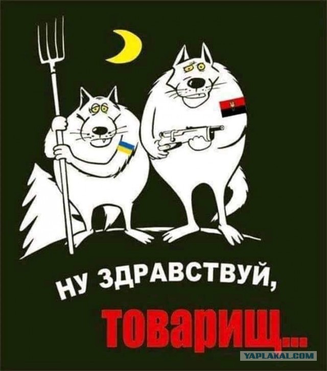 Украина официально запретила русский язык в сфере обслуживания