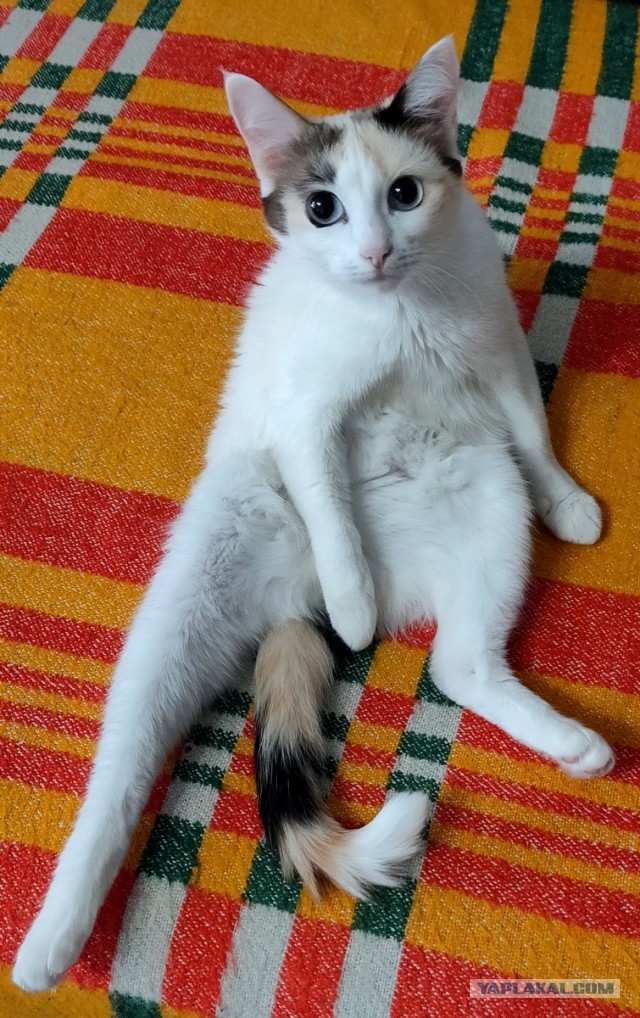 Нас и здесь не плохо кормят