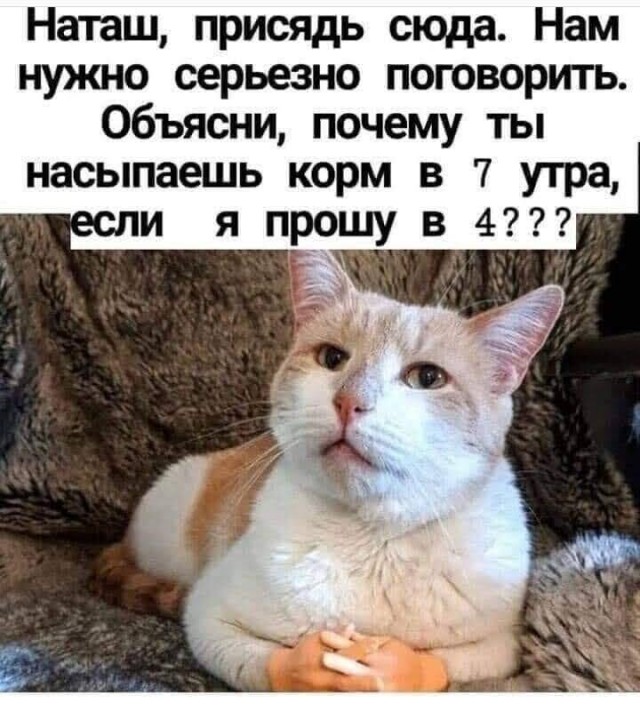 Картинки на понедельник 28.06.2021