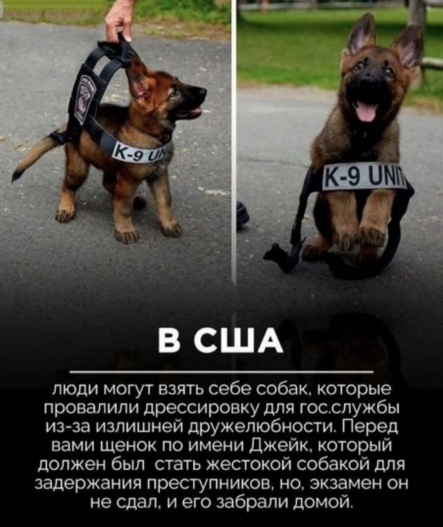 Картинки и мемы для настроения 26.10.2021