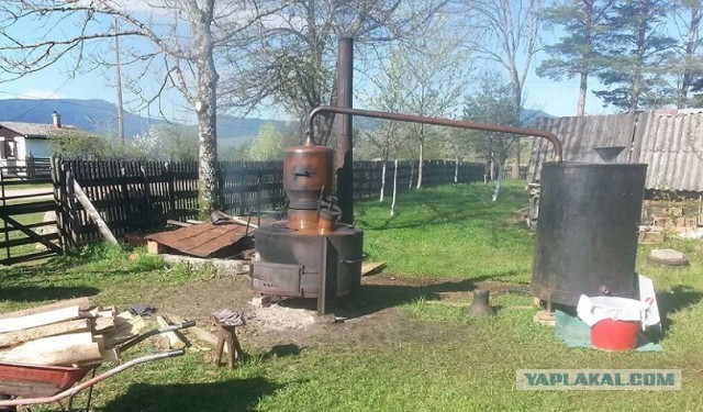Сербия глазами русского