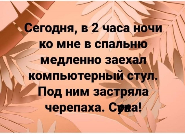 Так себе картинки 27.02.22