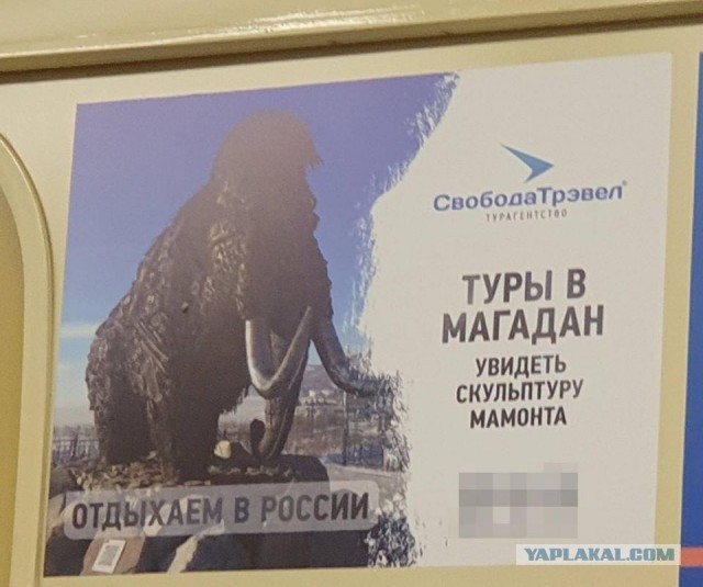 EASA приостановило действие всех выданных организациям гражданской авиации в России сертификатов