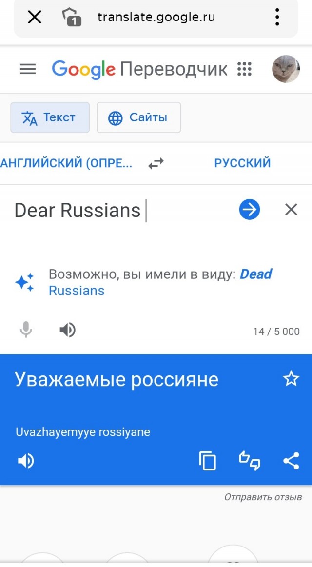 Гугл-переводчик
