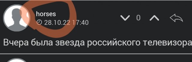 На Euronews Ксению Собчак назвали конем