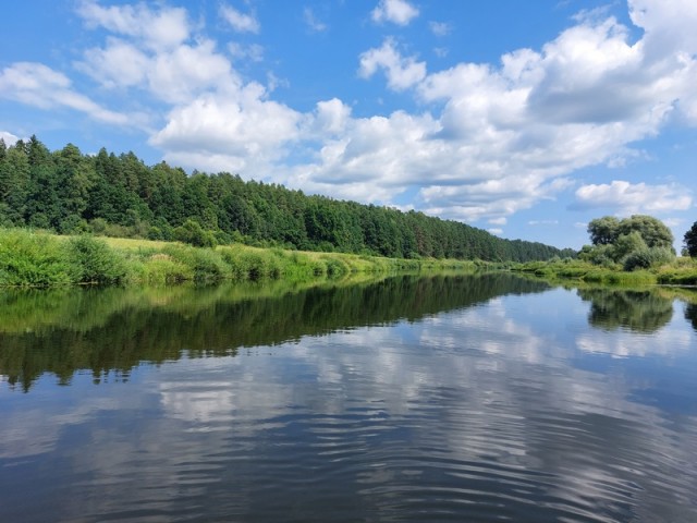 ПЛОТские утехи