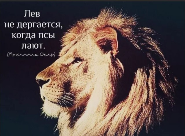 Победная поступь идиотизма по планете – том 2