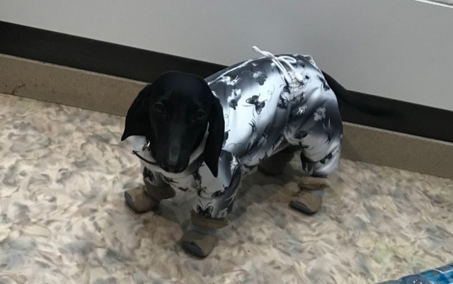 Ну, типа, с четвергом!