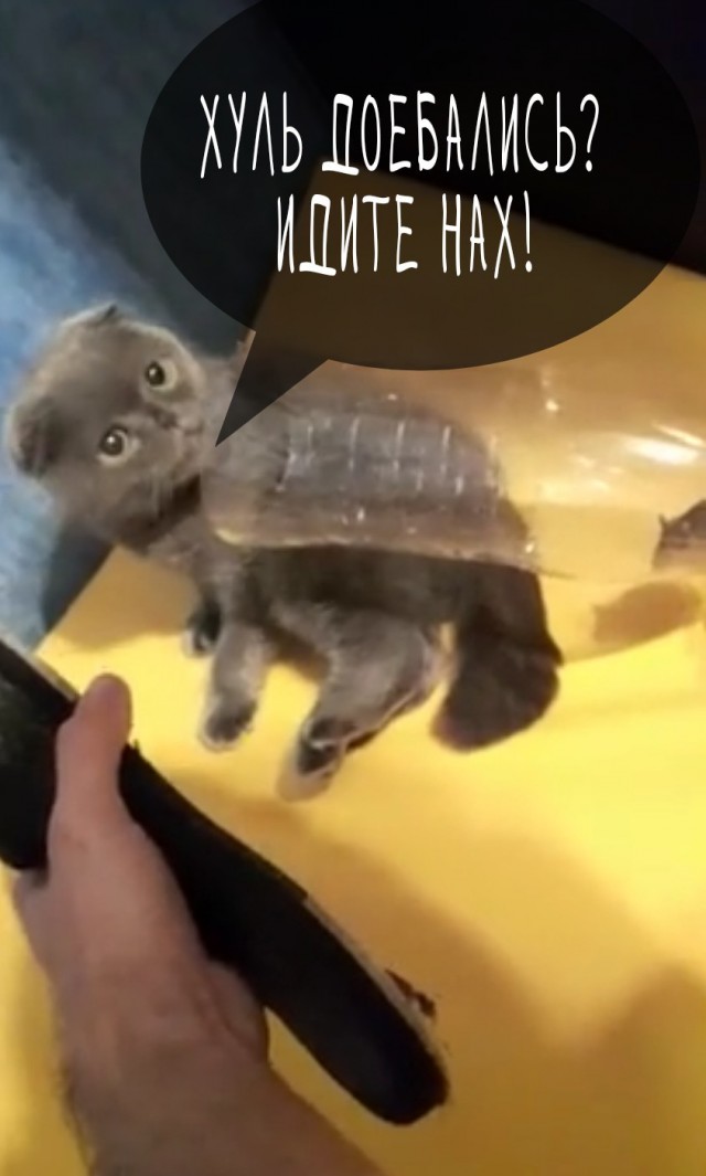 Непонятная ситуация с мышью