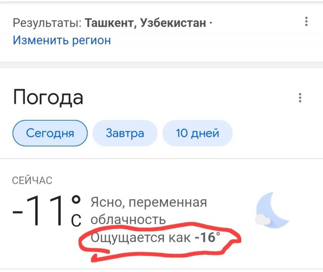 Нетипичный Ташкент. Снег и мороз