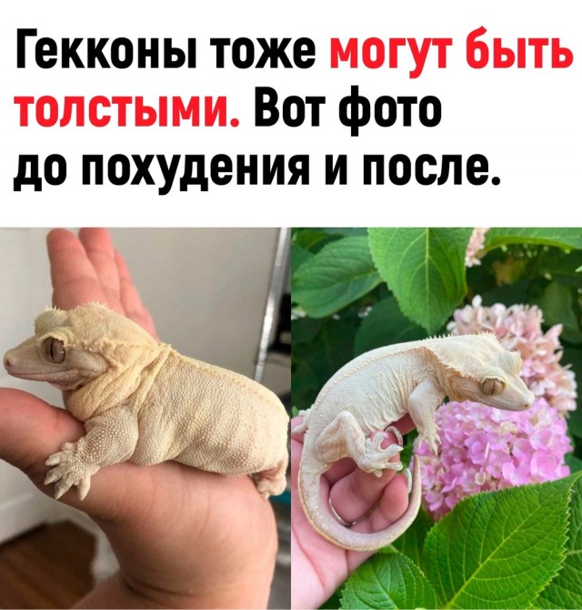 Немного картинок для настроения - 155