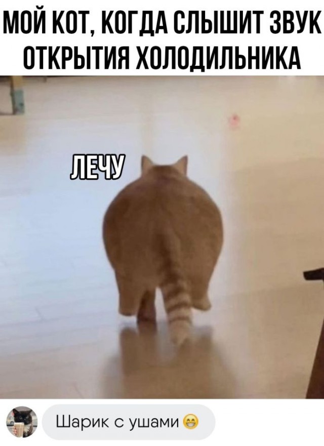 Картинки и мемы, всем хороших выходных