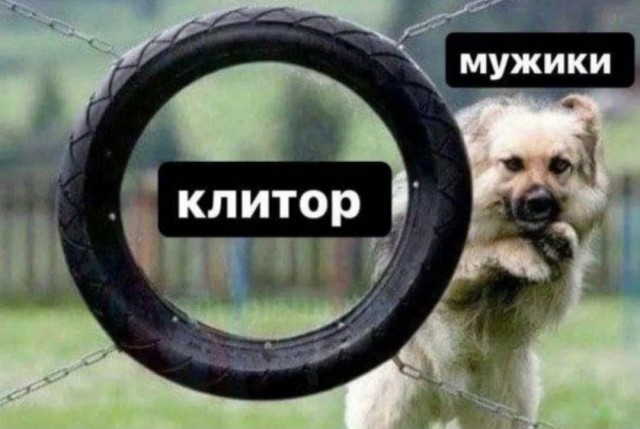 48 пятнично-фривольных картинок 07.04.2023