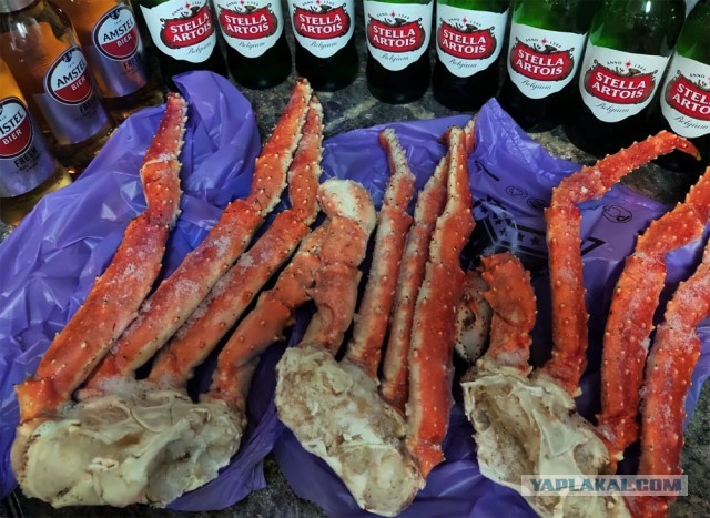 Почему пал Рим?