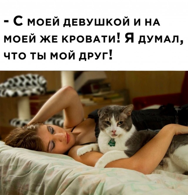 Картинки и мемы, всяко разно - 183