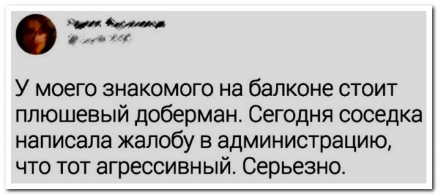 Забавные комментарии из социальных сетей (25.09.23)