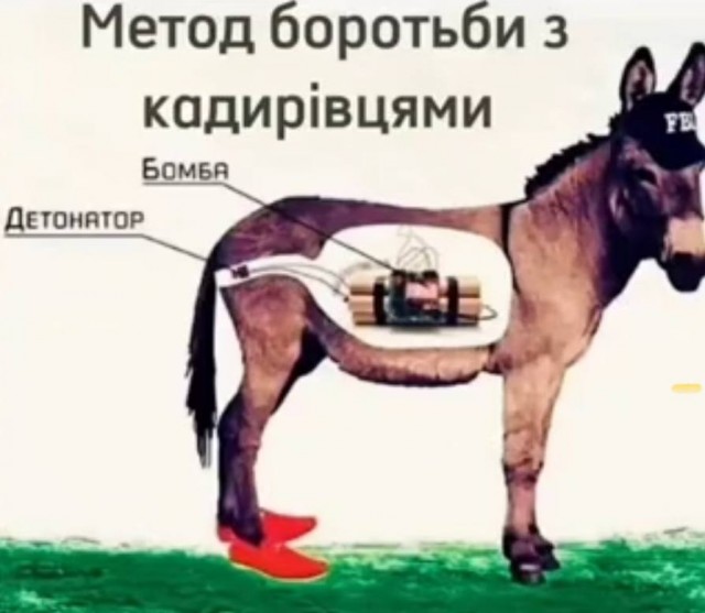 В Чечне назвали животных причиной разрушения памятника морпехам Северного флота