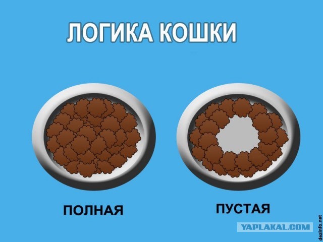 Логика