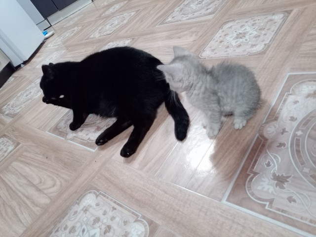 У нас пополнение!