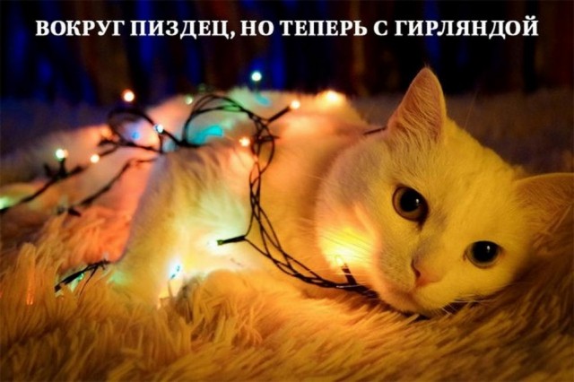 Всего понемногу. От 18.12.23