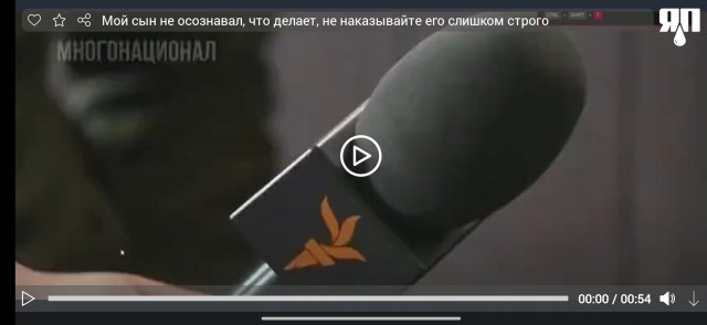 Мой сын не осознавал, что делает, не наказывайте его слишком строго