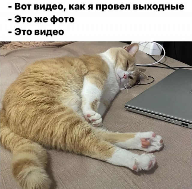 Завалялось тут случайно немного забавных картинок