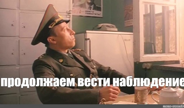 Жизнь домашнего приюта для котеек 506