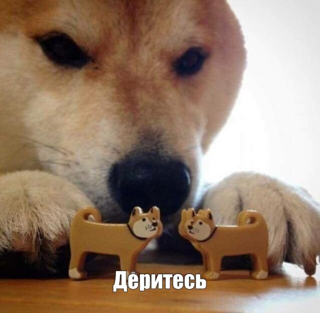 Через несколько часов жители всего мира станут свидетелями интересных сцен
