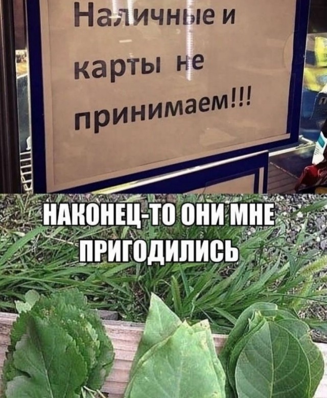 Завалялось тут случайно немного забавных картинок
