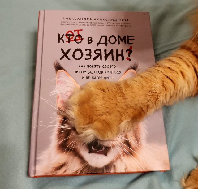 Кто в доме хозяин?