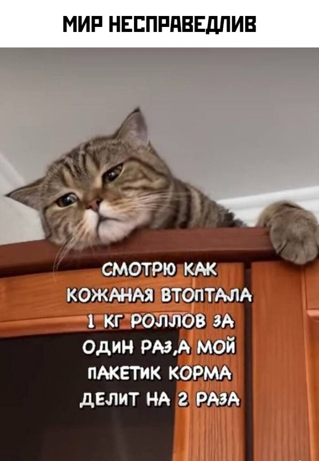 Так себе картинки 11.11.24