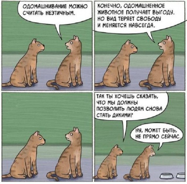 Картинки разные с надписями и без