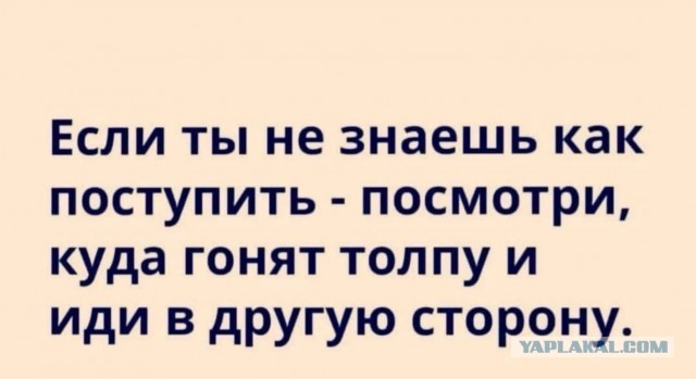 Почему так часто обманывают пенсионеров
