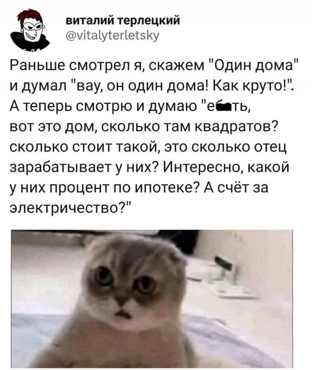 Весёлый полтишок 03.01.25