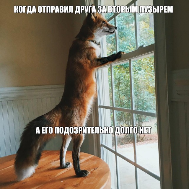 Завалялось тут случайно немного забавных картинок