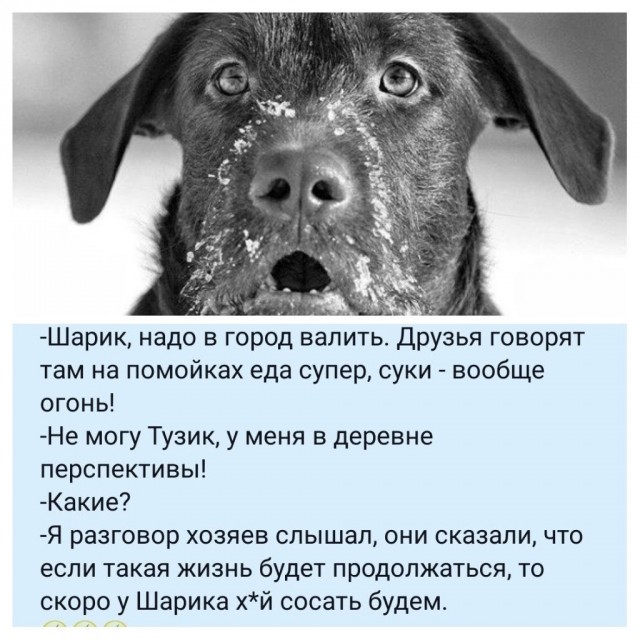 Всякое разное.