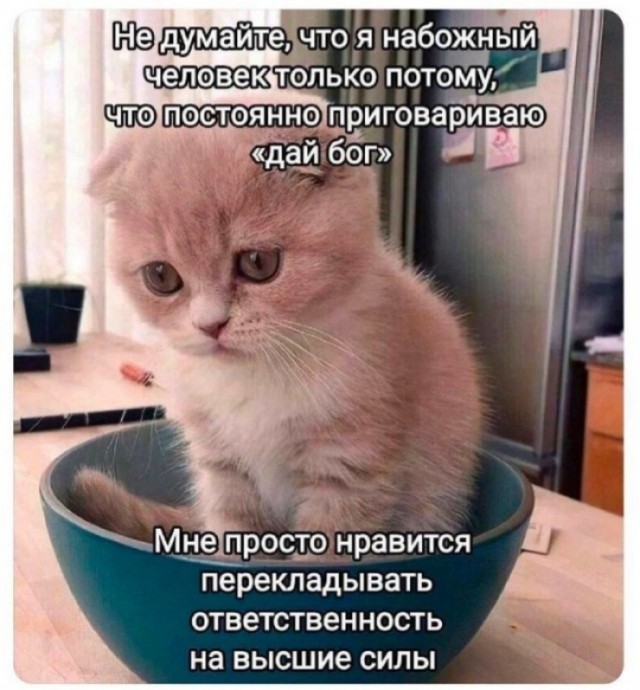 Так себе картинки 09.02.25