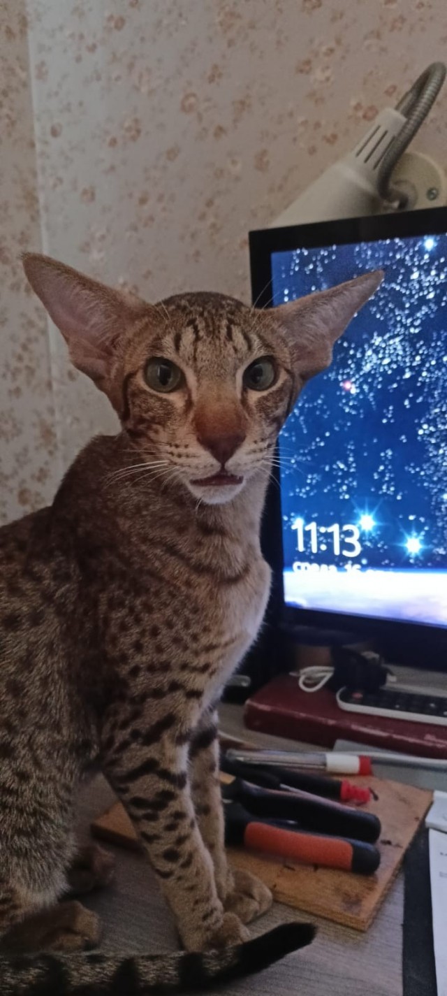 Косоглазый Смайлик