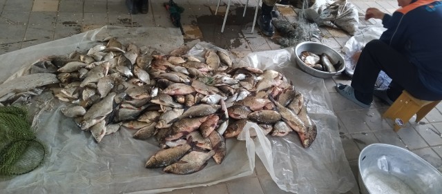 День, проведенный на рыбалке