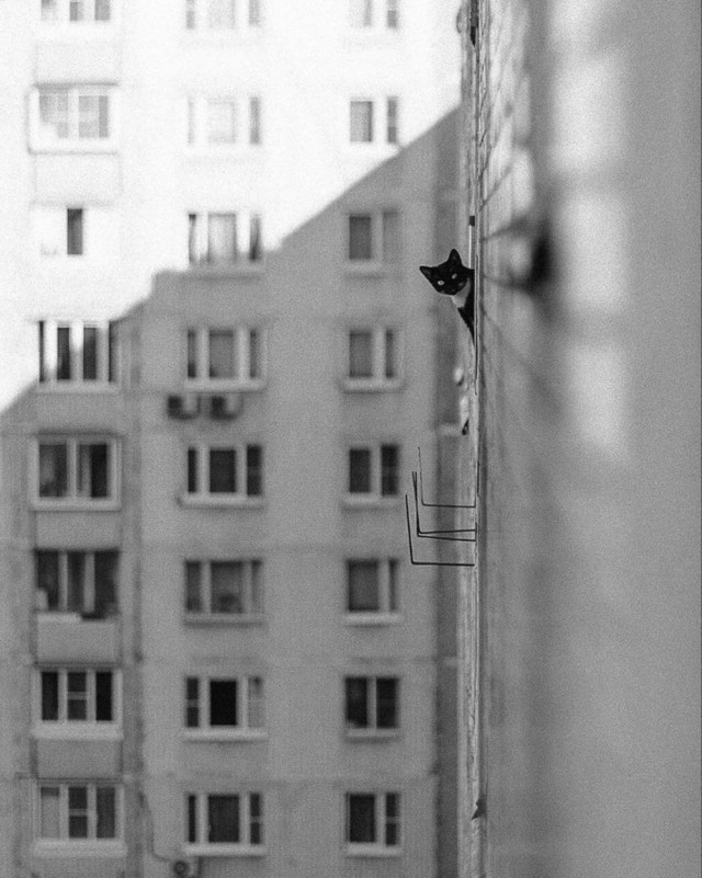 Прикольные и просто красивые картинки 18.07.2025