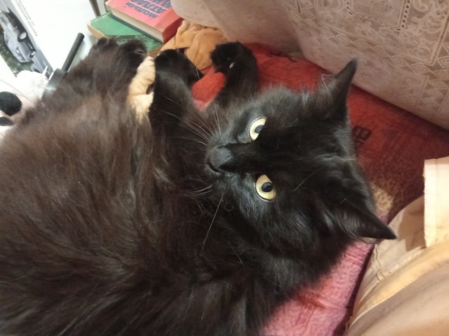 Специально для потомушто