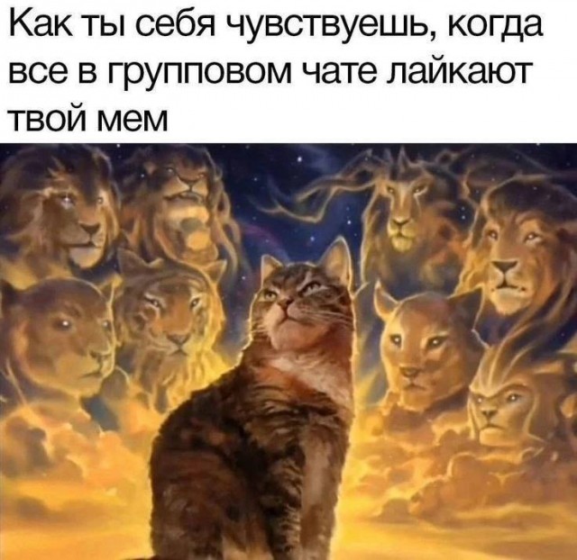 Веселые картинки в понедельник (04.08)