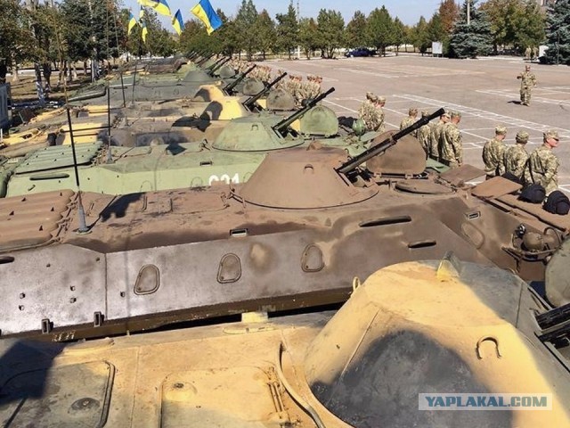 На линии боевого соприкосновения в зоне СВО находятся 700 тысяч бойцов Вооруженных сил России, сообщил Путин