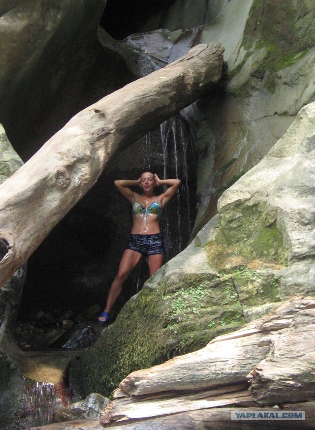 Отпуск в Сочи