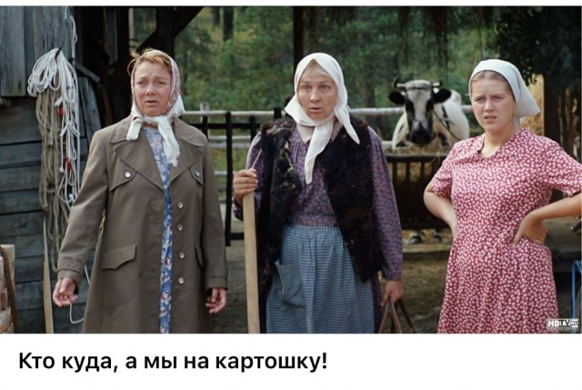 Про картошку