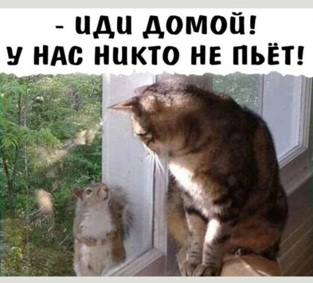 Прикольные и просто красивые картинки 10.10.2025