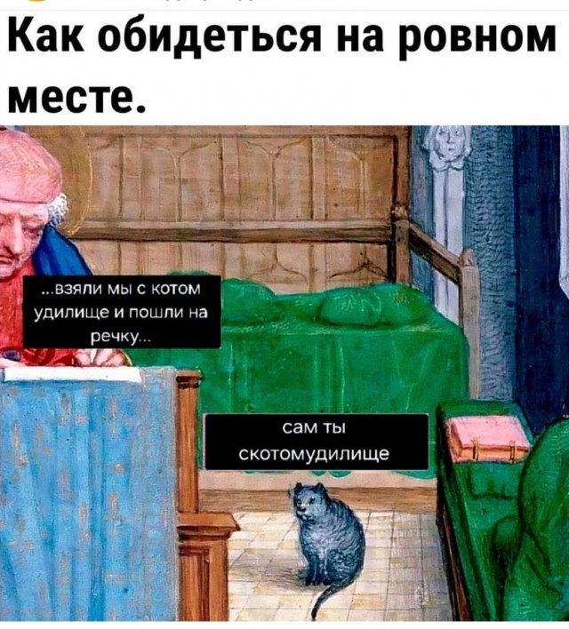 Я теперь тоже с котом