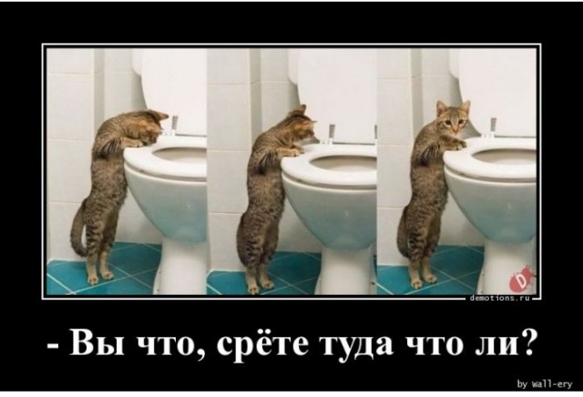 В догонку темы про газификацию.