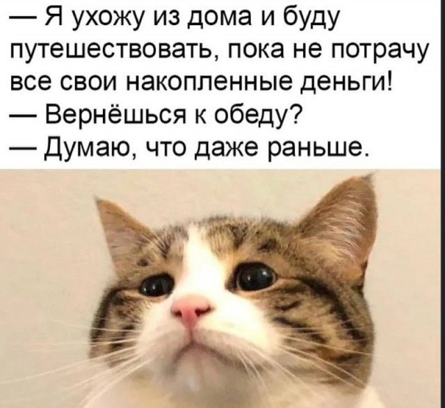 Субботние картинки