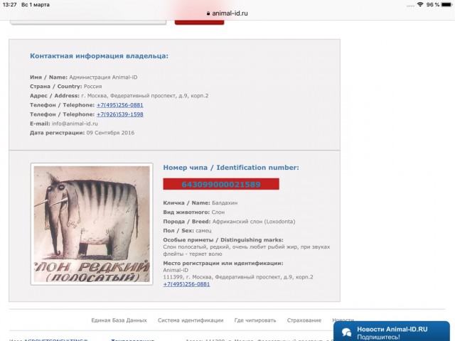 Вот так в Казани проводят рейды по выявлению нечипированных собак